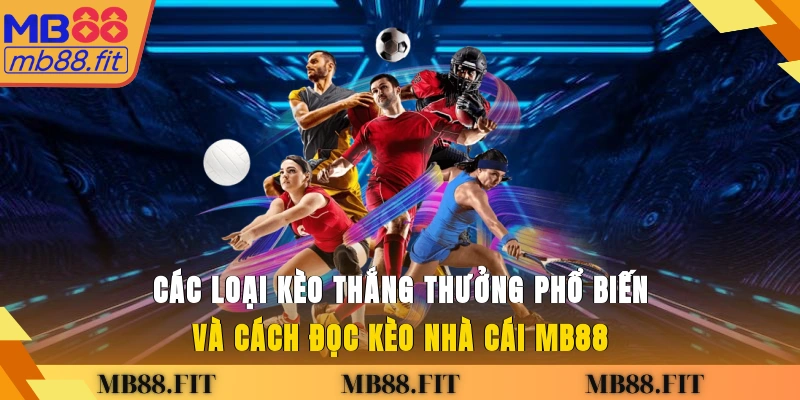 Các loại kèo thắng thưởng phổ biến và cách đọc kèo nhà cái MB88