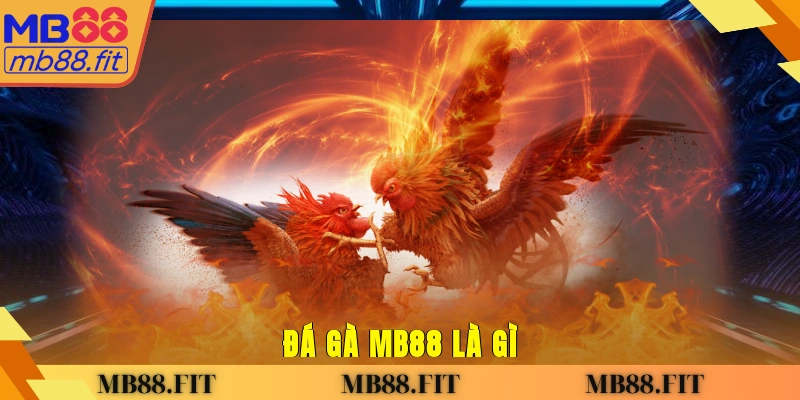 Đá gà MB88 là gì? 