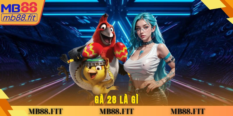 Gà 28 là gì? 