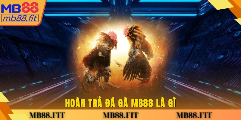 Hoàn trả đá gà MB88 là gì? 
