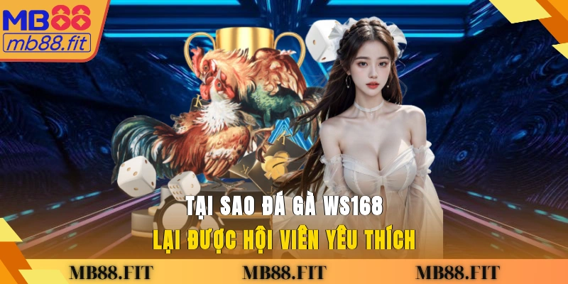 Tại sao đá gà WS168 lại được hội viên yêu thích?